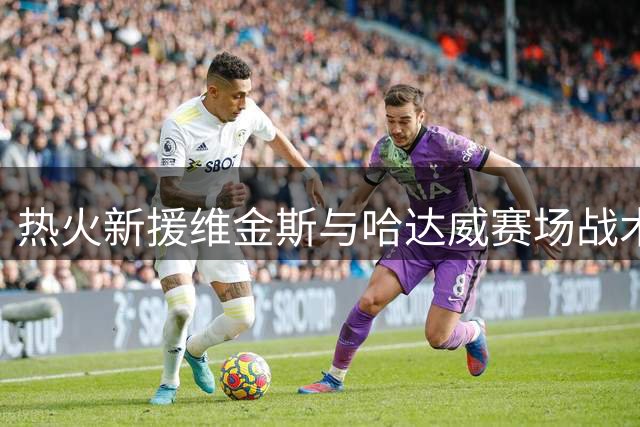 热火新援维金斯与哈达威赛场战术解析